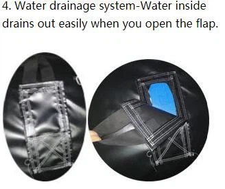 shark water slide 